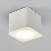 Helestra Oso LED-Deckenspot, eckig, weiß matt