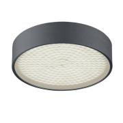 BANKAMP Drum LED-Deckenleuchte, anthrazit matt