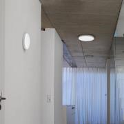Ledvance Planon Frameless Round LED-Panel Ø 30cm