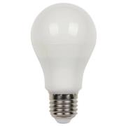 Westinghouse LED-Lampe E27 9W 3.000K matt dimmbar