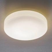 BEGA 50652 LED-Deckenleuchte Opalglas 3.000K Ø39cm