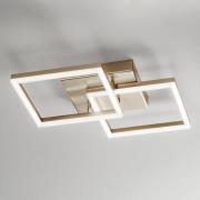 LED-Deckenleuchte Bard, 45x45cm, Mattgold-Finish