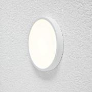 EVN Planus LED-Panel rund Ø 19,2 cm 3.000 K