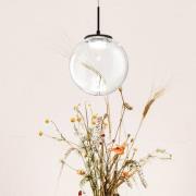 LED-Hängeleuchte Ariel, 1-flammig, Ø 15cm, Glas, Dimmer, CCT