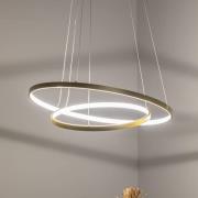 LED-Hängeleuchte HOOP, 51 W, Ø 60 cm, 4.000 K, gold