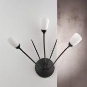 Wandleuchte Gloriosa, schwarz, Glas, 3-flammig