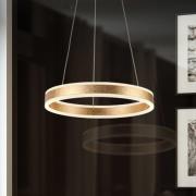 LED-Hängeleuchte Helia, goldfarben, Ø 50 cm, Metall