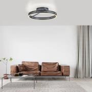 PURE LED-Deckenleuchte Loop, grau, Metall, Ø 60 cm, CCT