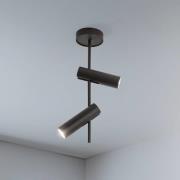 Deckenspot Leda 2, olivgrün, 2-flammig, Stahl, Höhe 55 cm