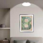 LED-Deckenlampe Kaida, nickel matt, Ø 38 cm, EEK A, 4.000 K