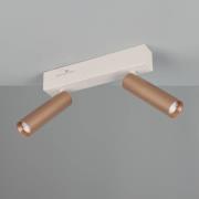 LED-Deckenstrahler Ambala, Länge 26 cm, grau/braun, 2-flg.