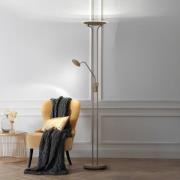 LED-Stehlampe Tallri, greige Höhe 180 cm 2-flg. CCT Touchdim