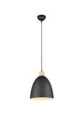 Pendelleuchte JAGGER 1xE27 ohne Leuchtmittel von REALITY Leuchten R306...