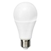 Flos - Leuchtmittel LED 21W (2200lm) A65 2700K E27 Greenplux