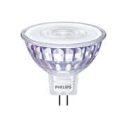 Philips - Leuchtmittel LED 7W (621lm/50W) Dimbar 36° GU5,3