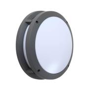 Lindby - Liren LED Smart Draußen Wandleuchte Grau