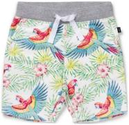 Luca &  Lola Fabriano Shorts, Birds 110–116