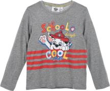 Paw Patrol T-Shirt, Grey, 6 Jahre