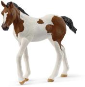 Schleich 14899 Horse Club Paint Horse Fohlen
