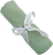 Summerville Musselintuch, Cameo Green