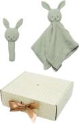 Jabadabado Bunny Rassel Geschenkset, Grün